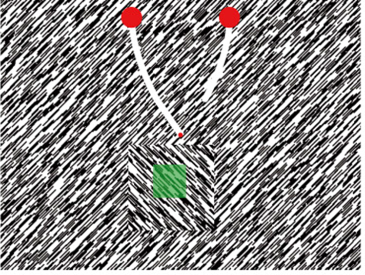 Figure 2: Image from (Poort et al. 2012). Shapes that are defined only by texture, like the above, can be difficult to see in a pure “feed-forward” manner. The biological visual system is able to recognize shapes like these through the interaction of lower and higher level areas, including top-down attention and subconscious processes.