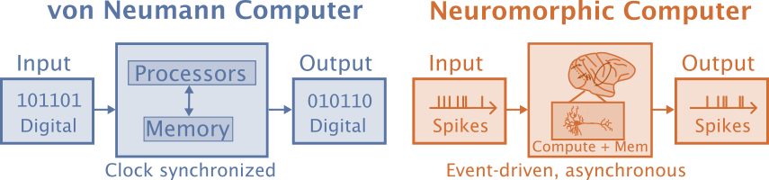 von Neumann Computers operate on digital information, have separate processors and memory, and are synchronized by clocks, while neuromorphic computers operate on event-driven spikes, combine compute and memory, and are asynchronous. Created by author with inspiration from Schuman et al 2022.